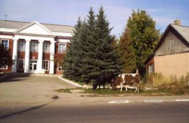 В Тульской области пустят новый автобус «Донской-Руднев-Люторичи»