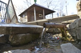 Ко Дню Земли: из каких родников в Туле можно пить воду