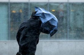 Метеопредупреждение: в течении суток в Туле ожидается дождь и штормовой ветер