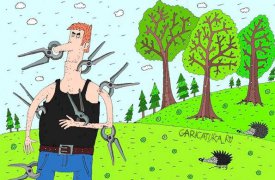 Баташевский сад в Туле обработают от клещей