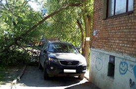 Внедорожник чудом не задело стволом упавшего из-за ветра дерева в Туле
