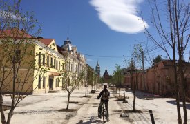 Улицу Металлистов в Туле забетонировали и посадили деревья