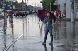 Погода в Туле 15 мая: пасмурно и дождливо