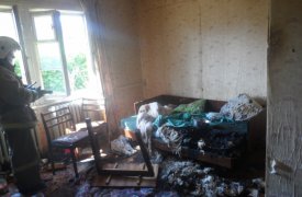 Утром в Суворове загорелся диван