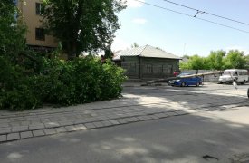 В Туле от шквального ветра фонарный столб упал на машину