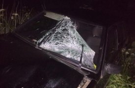 В Тульской области водитель, насмерть сбивший женщину, скрылся с места ДТП