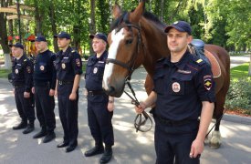 Конная полиция приступила к патрулированию в Центральном парке Тулы