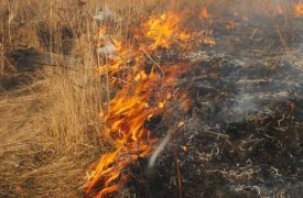 В отдельный районах Тульской области повысился уровень пожарной опасности