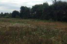 В Тульской области задержали насильника