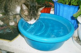 4 июля Зареченский округ Тулы на сутки останется без воды