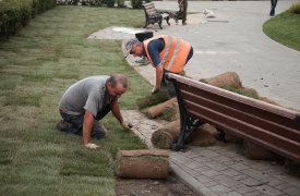 В Туле укладывают рулонный газон