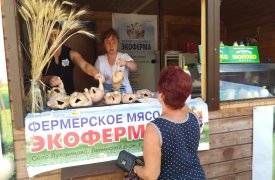 Тульская фермерская ярмарка переехала в Заречье