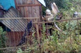 В Туле огонь с горящей дачи чуть не перекинулся на соседний дом