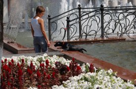 В Тулу вернулось лето