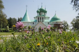 Чем музеи Куликова поля удивят туляков 4 августа?