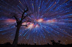 В ночь на 13 августа туляки увидят самый красивый звездопад года