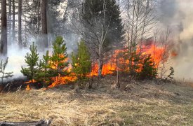 Метеопредупреждение: в Тульской области объявлен 4 класс пожарной опасности