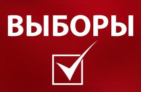 В Тульской области началось досрочное голосование
