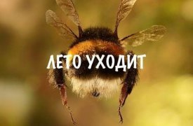 Предпоследний день лета: продолжаем радоваться теплу