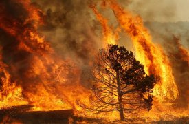 В Ефремовском и Воловском районе сохраняется чрезвычайная пожароопасность