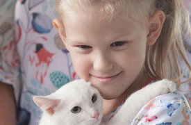 В Туле проходит III благотворительный фестиваль помощи животным