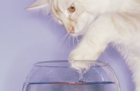 Где в Туле не будет воды 20 сентября?