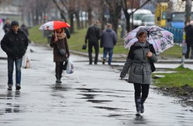 Погода в Туле 2 октября: синоптики обещают сильный дождь