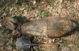 В лесу под Тулой нашли авиационную бомбу