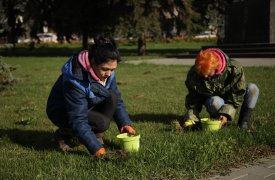 В сквере Глеба Успенского высадят цветы для создания естественного природного ландшафта