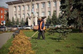 Сквер Глеба Успенского в Туле украсят 3000 крокусов