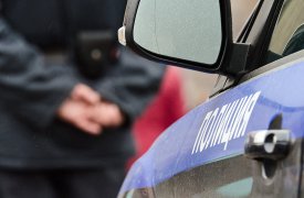В Тульской области пьяная пенсионерка обложила матом полицейского