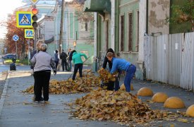В Туле собирают и вывозят опавшую листву