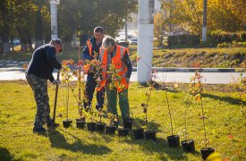 Туляки могут принять участие в озеленении города