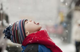 Погода в Туле 26 октября: а снег идет, а снег идет…
