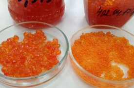 Икорный бизнес: в Туле возбуждено уголовное дело по факту сбыта поддельной продукции