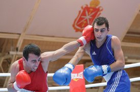 На Всероссийский турнир по боксу в Тулу приехали более 100 спортсменов