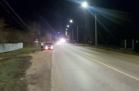 В Тульской области водитель съехал с дороги и сбил мужчину с ребёнком