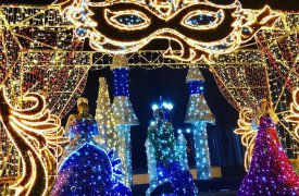 С 19 ноября начнется установка главной городской елки в Туле