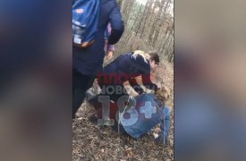 Следователи проводят проверку по факту избиения школьницы в Суворове