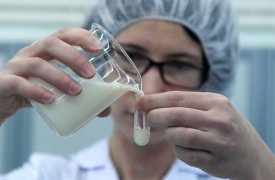 Узловский молочный комбинат производил фальсифицированную молочную продукцию