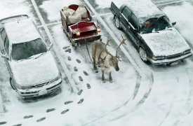 Где в Туле можно будет парковаться на время праздничных мероприятий проекта «Тула – Новогодняя столица России»