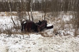 Смертельное ДТП под Тулой: девушка на 
