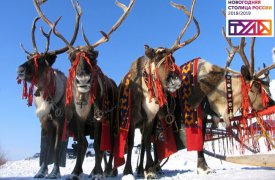 7, 8 и 9 декабря туляков бесплатно покатают на оленьих упряжках
