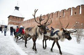 Прямо сейчас: туляки катаются на оленьих упряжках под бубны шаманов