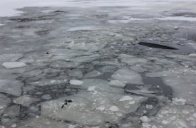 В Новомосковске мужчина провалился под лёд