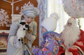 Дед Мороз приглашает тульских ребятишек в свою резиденцию