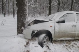В Туле  «Лада Калина» врезалась в дерево: пострадали трое