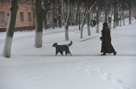 В Туле проверили состояние 210 дворов: управляющим компаниям грозят штрафы