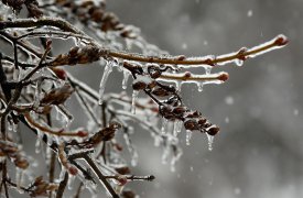 Зимний дождь: 4 февраля погода немного подмочит тулякам репутацию