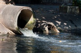 Новогуровская управляющая компания сливала сточные воды без разрешения